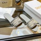 Dior Dway Slide Embroidered Metallic Thread Strass Grey